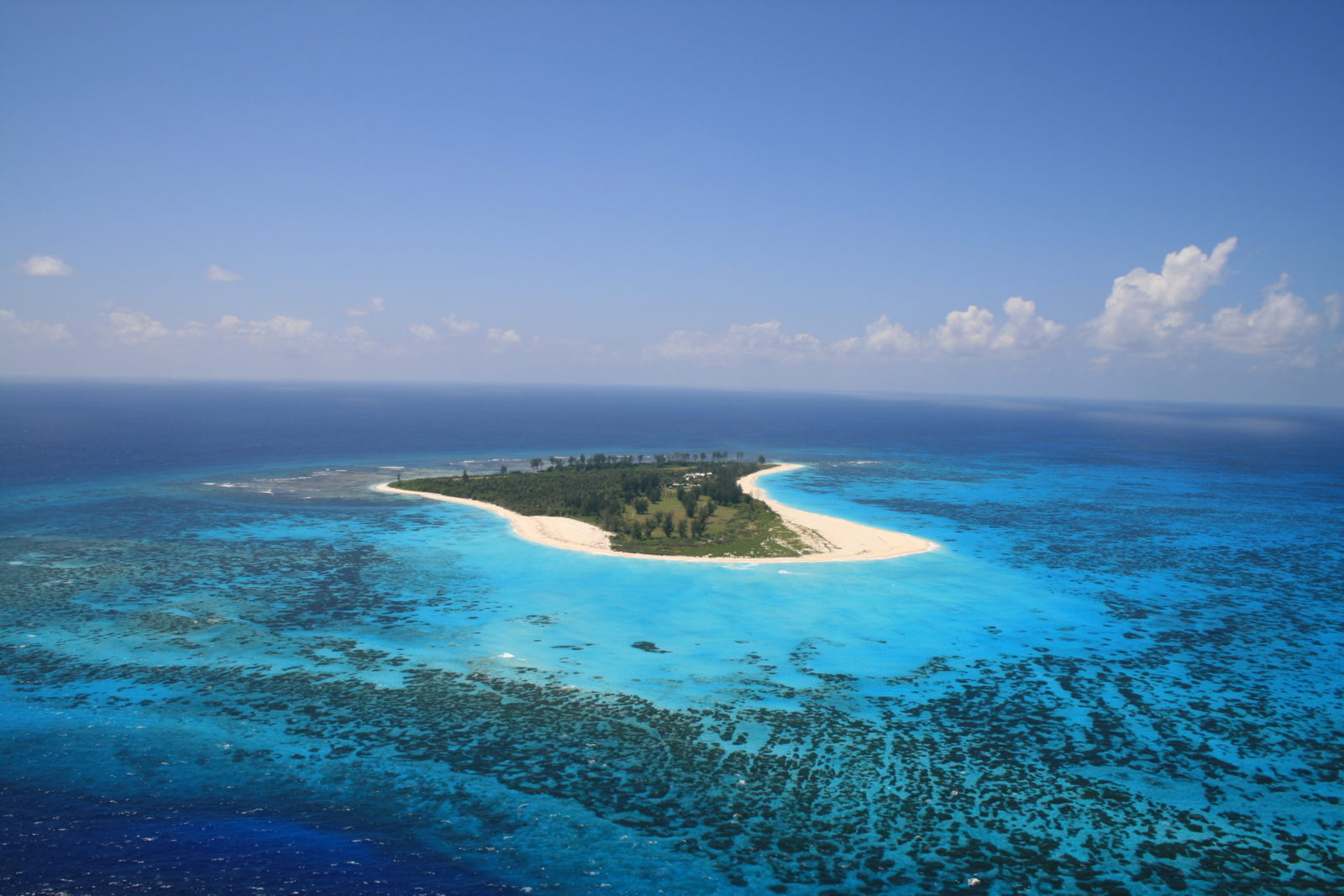 bird Island Seychelles