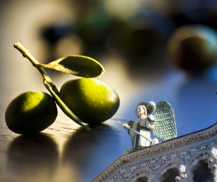 A Lucca si celebra l’olio d’oliva made in Italy