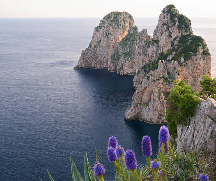 Visitare Capri in primavera: una tranquilla isola in fiore