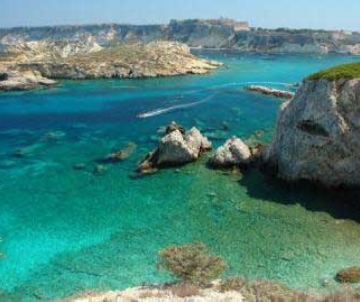 Immersioni Puglia, dalle Tremiti a Taranto, tre luoghi bellissimi per esplorare le meraviglie subacquee della regione