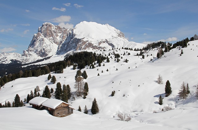 vacanza neve Alpe di Susi, Trentino 