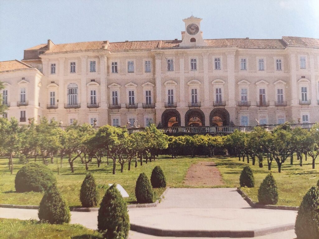 residenze borboniche a Napoli, Reggia di Portici