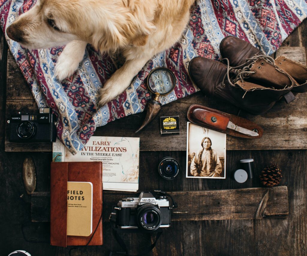 Documenti per viaggiare con il cane